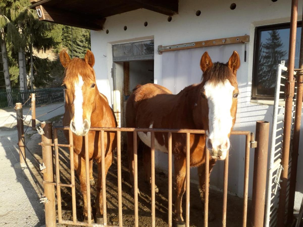 Felderhof Appartement Maranza Buitenkant foto